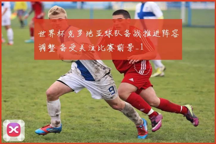 世界杯克罗地亚球队备战推进阵容调整 备受关注比赛前景_1
